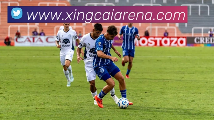 杏彩体育APP 封面图